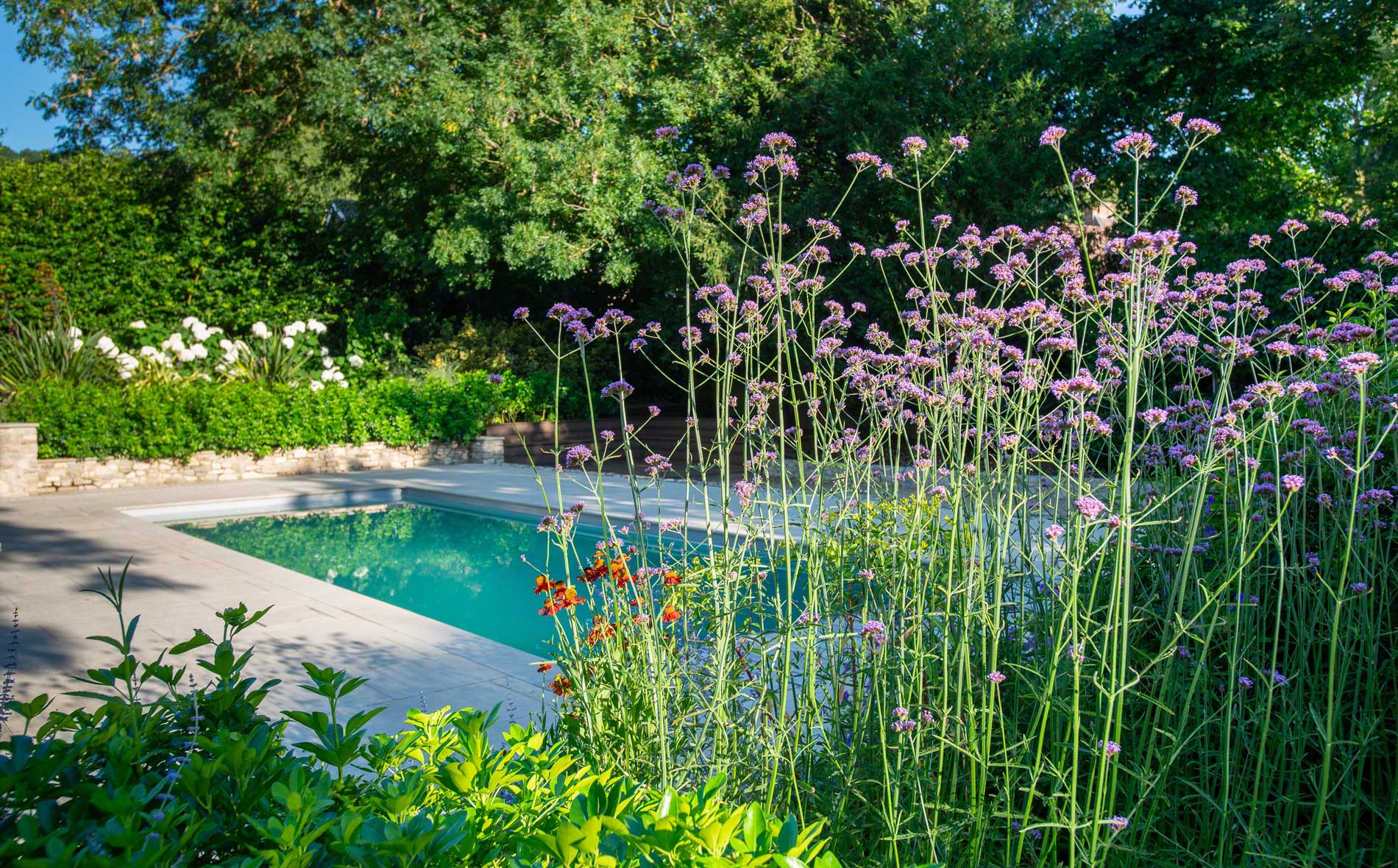Sevenoaks Shoreham Mediterranean inspired pool garden - Marlene Lento