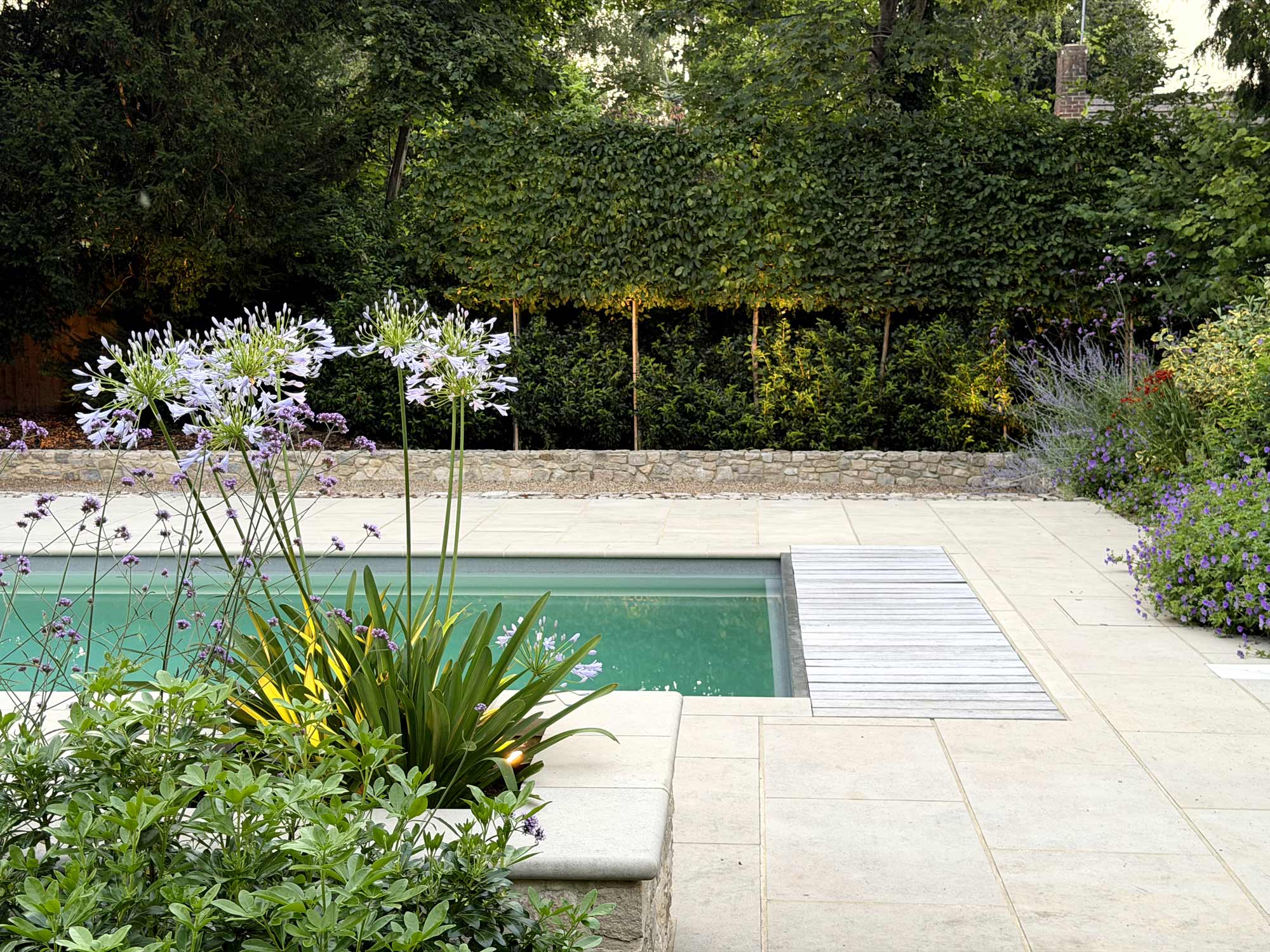 Sevenoaks Shoreham Mediterranean inspired pool garden - Marlen Lento