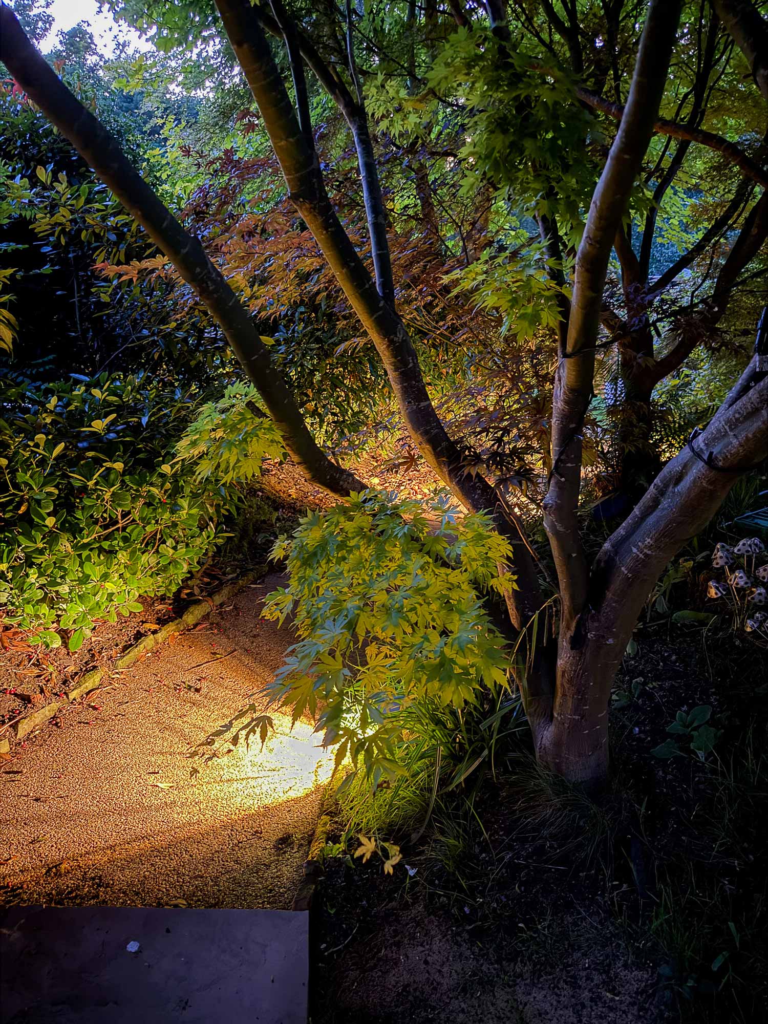Marlene Lento Tonbridge Edwardian garden and bar planting and path