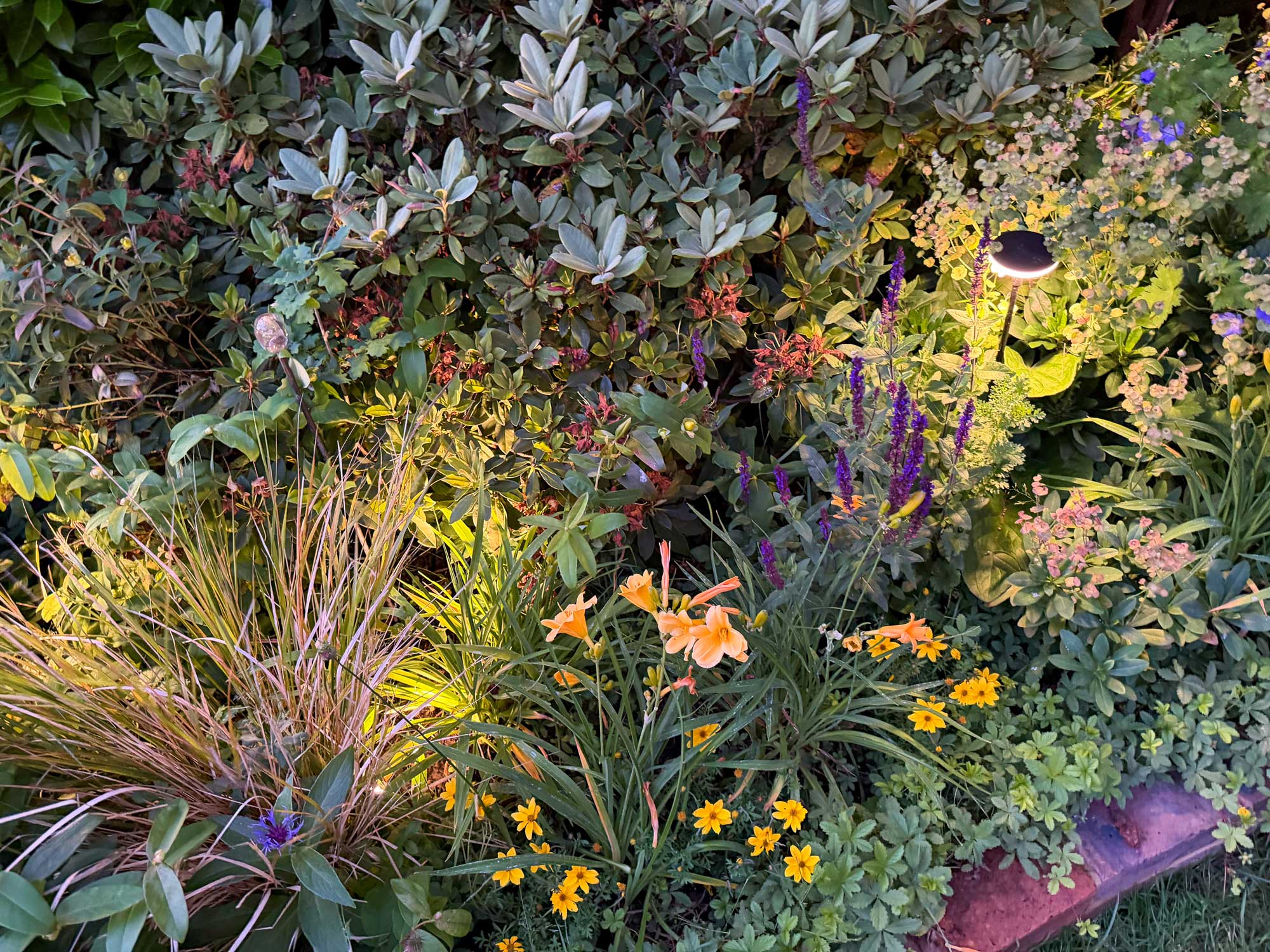 Marlene Lento Tonbridge Edwardian garden and bar planting