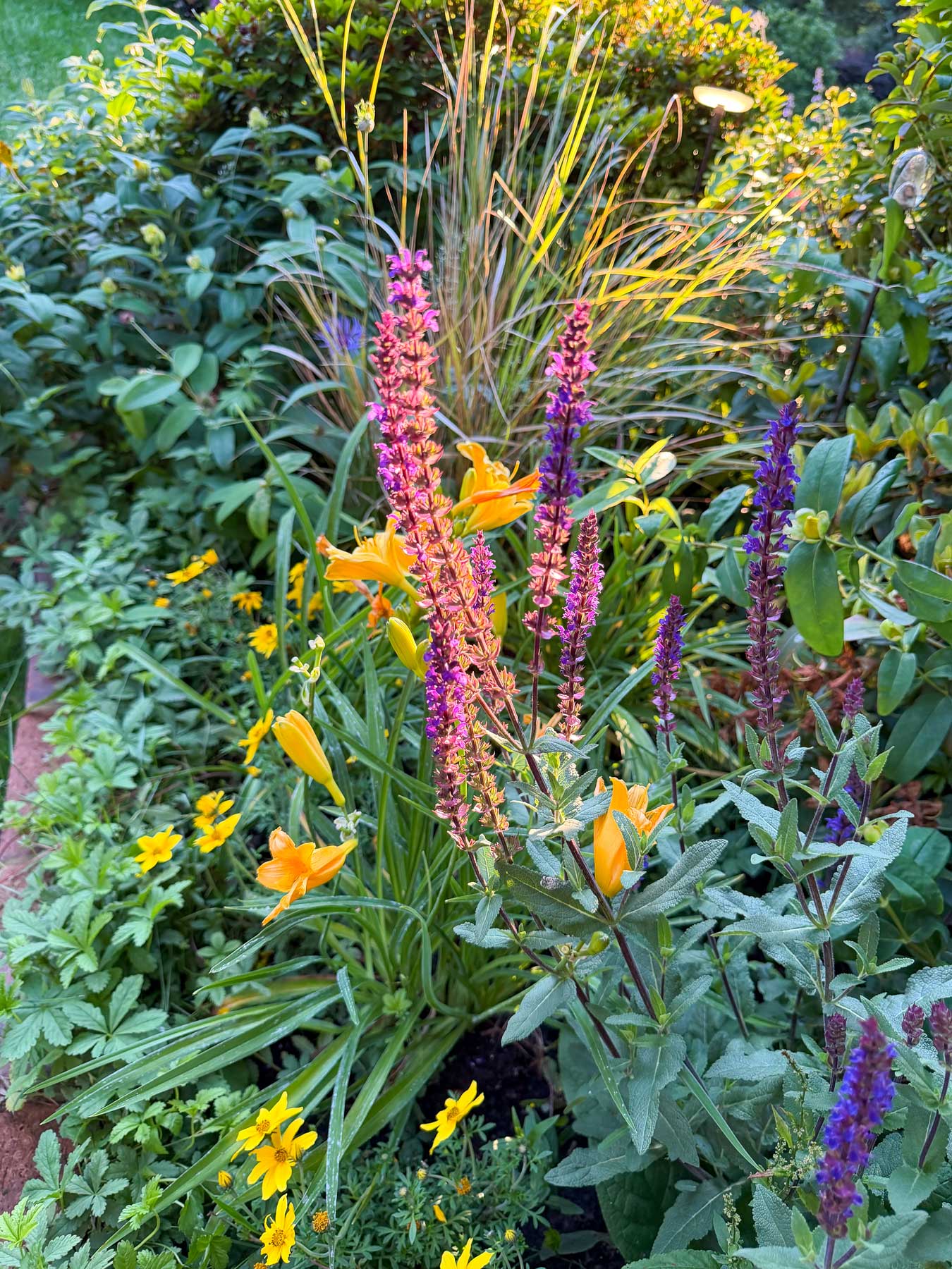 Tonbridge Edwardian garden and bar - Marlene Lento