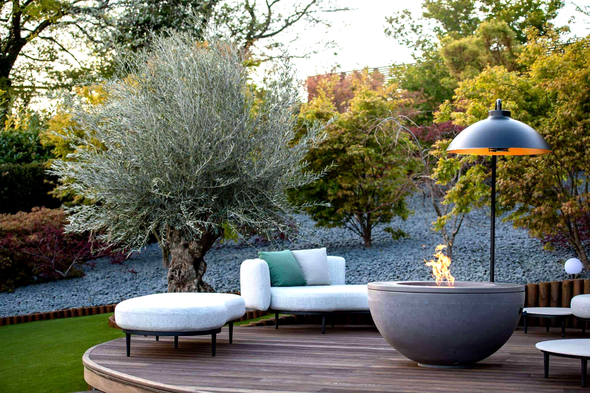 large Olive tree Otford decks and acer garden - Marlene Lento